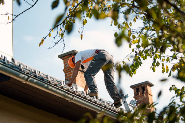 Roof Gutter Cleaning in Hanford, CA